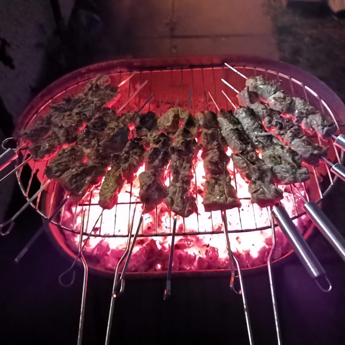 Samsonik-Panasonik profile